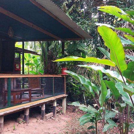 Jardin De Las Musas Puerto Maldonado Bagian luar foto