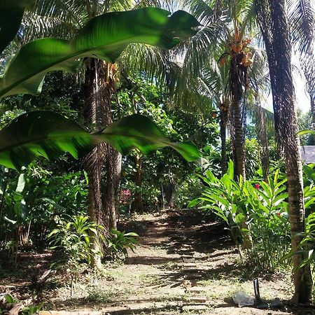 Jardin De Las Musas Puerto Maldonado Bagian luar foto