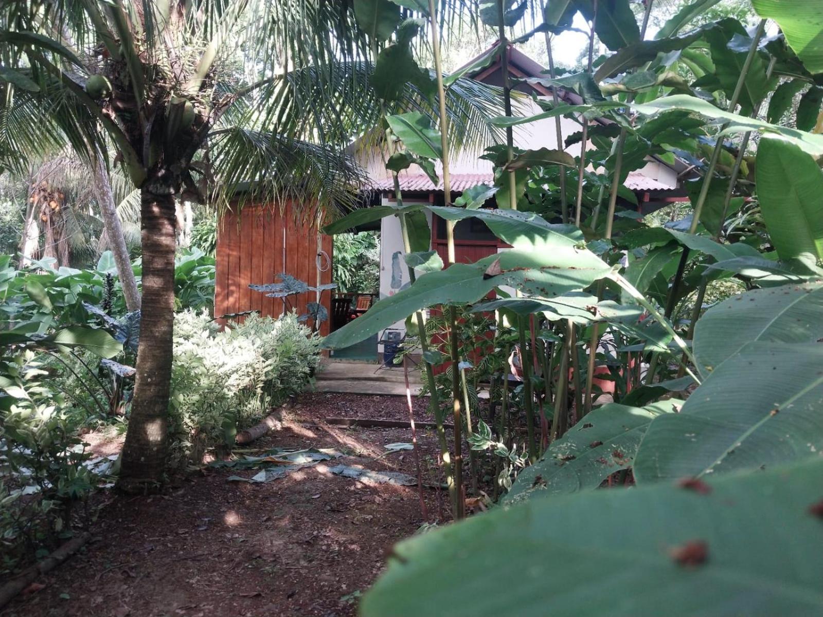 Jardin De Las Musas Puerto Maldonado Ruang foto