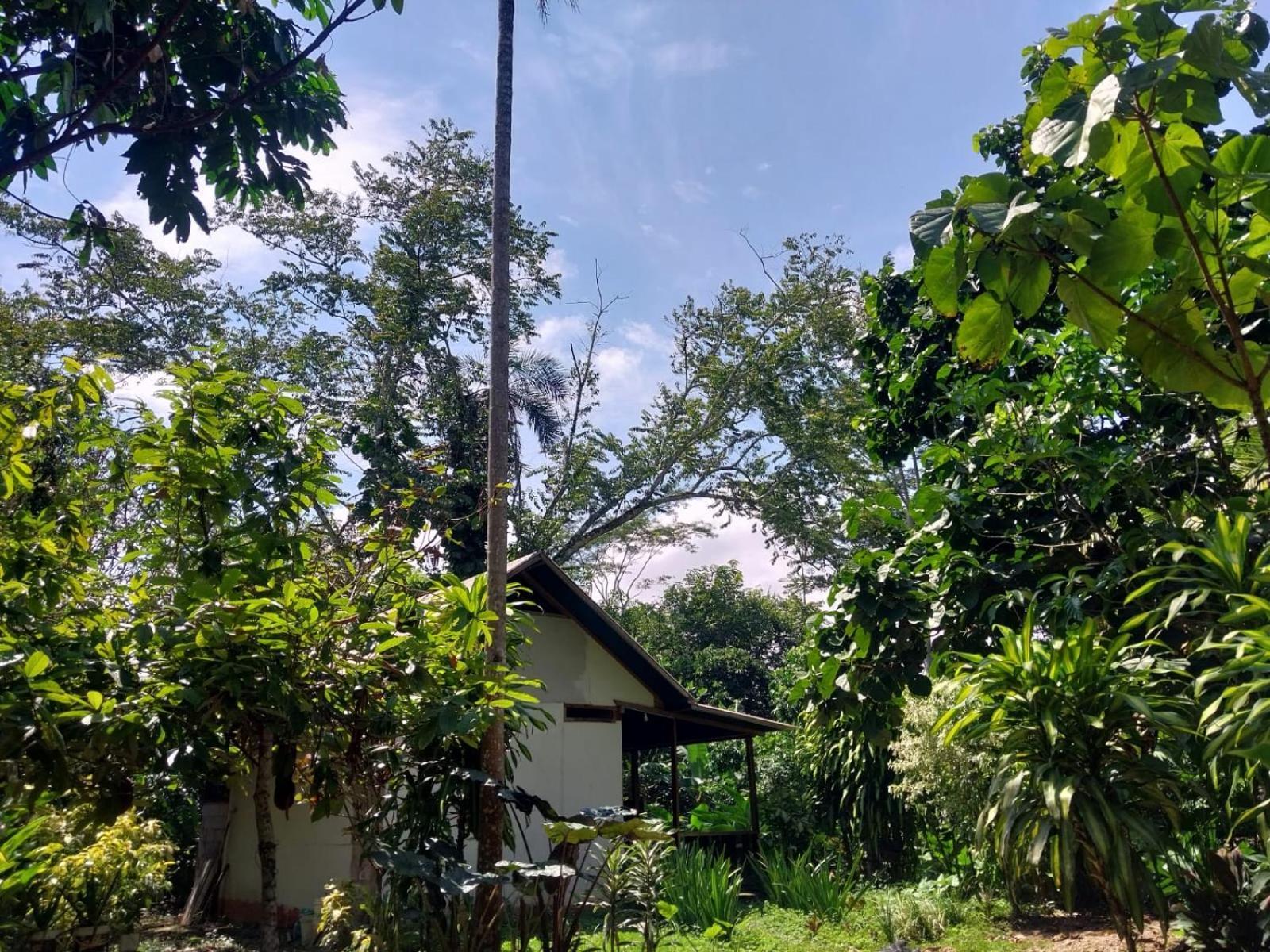 Jardin De Las Musas Puerto Maldonado Ruang foto
