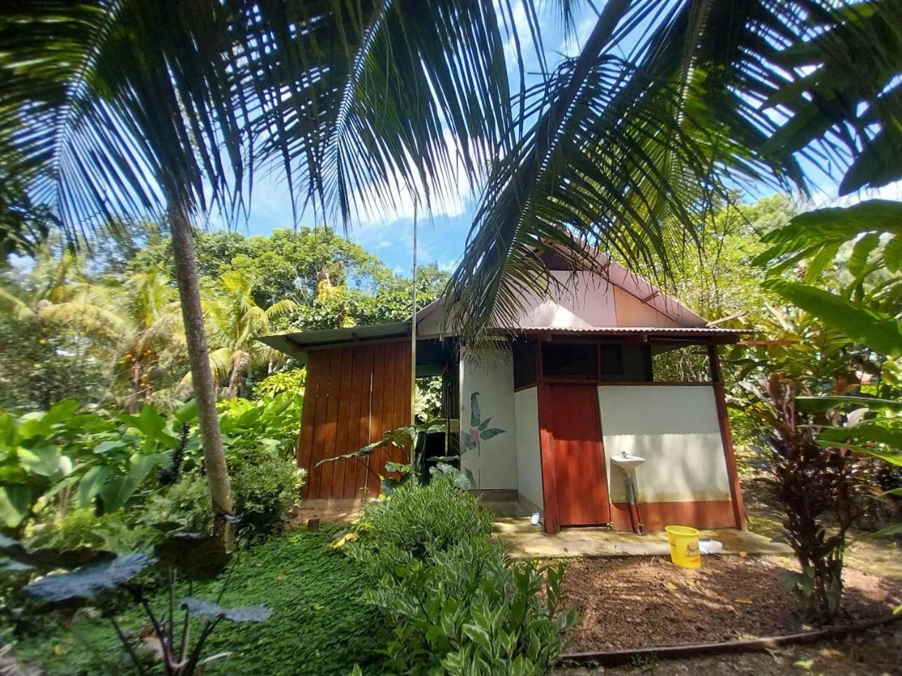 Jardin De Las Musas Puerto Maldonado Ruang foto