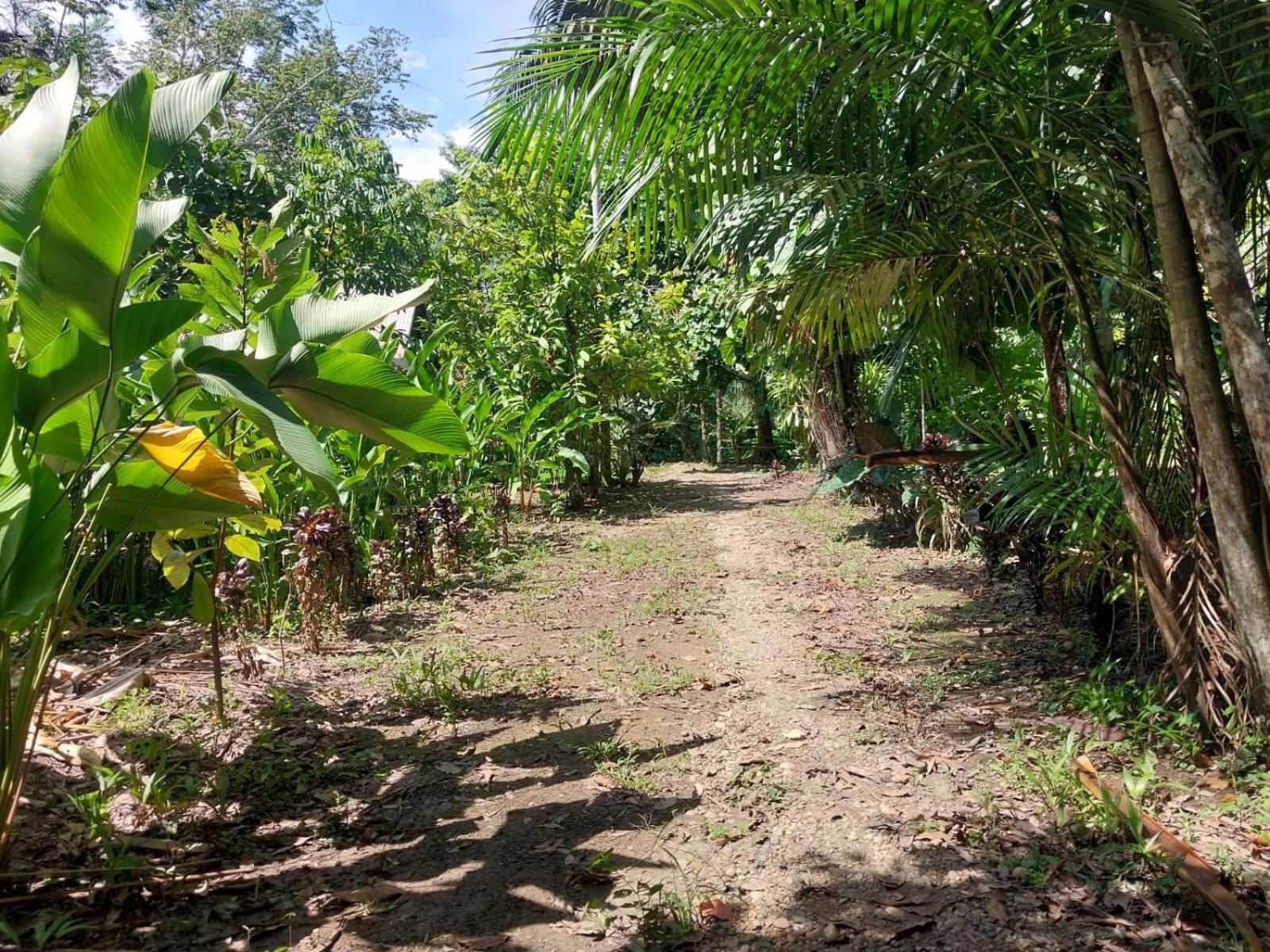 Jardin De Las Musas Puerto Maldonado Ruang foto