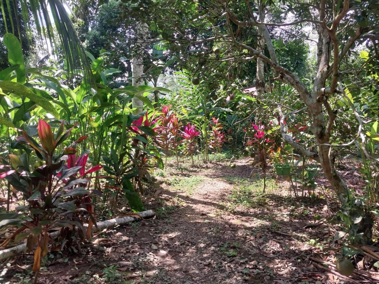 Jardin De Las Musas Puerto Maldonado Bagian luar foto