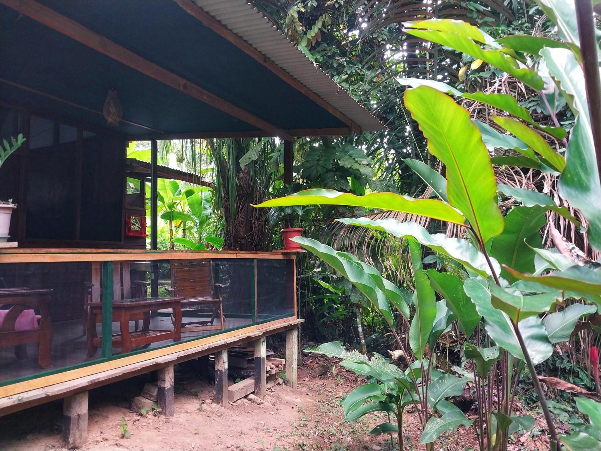 Jardin De Las Musas Puerto Maldonado Bagian luar foto
