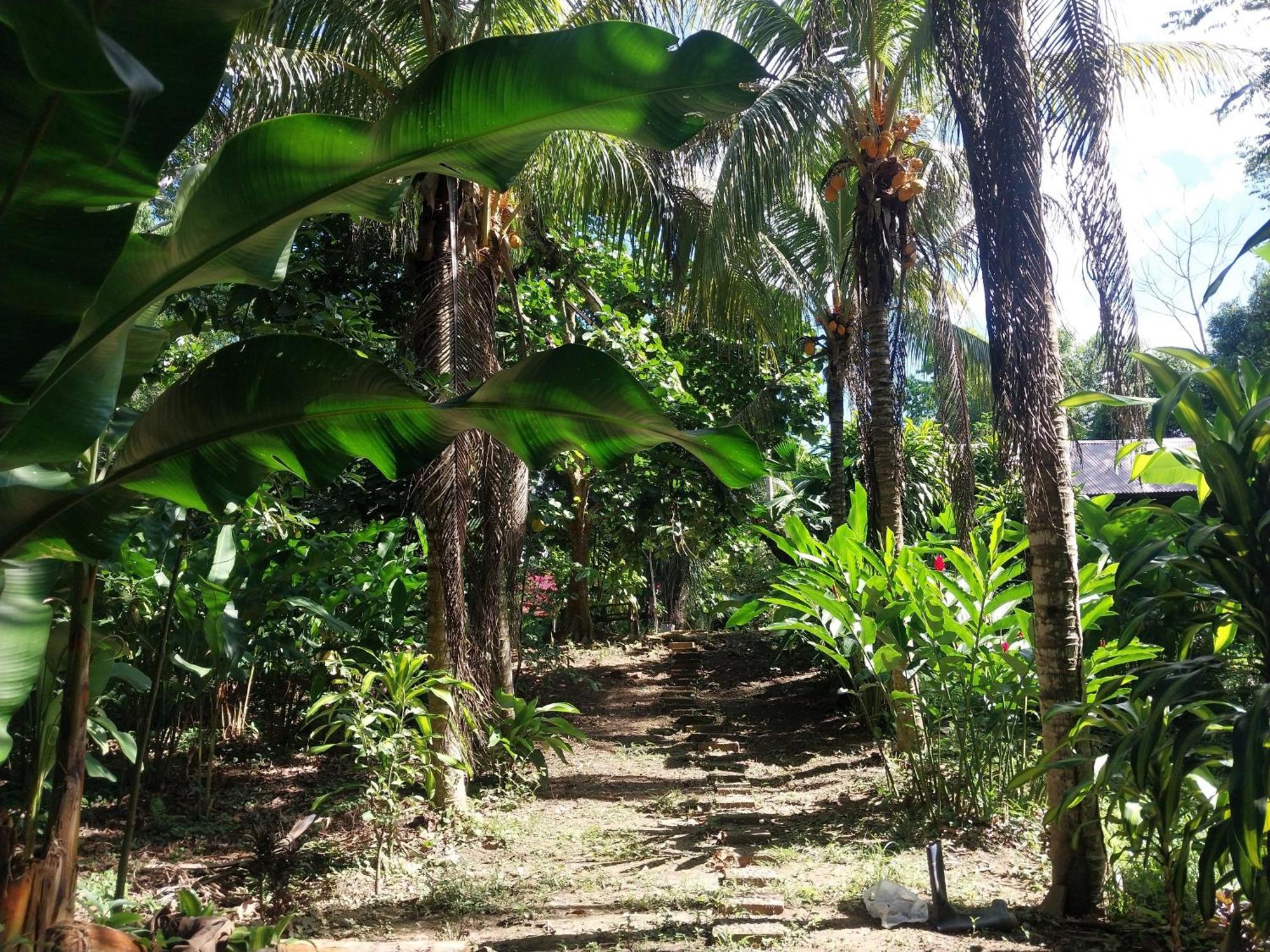 Jardin De Las Musas Puerto Maldonado Bagian luar foto