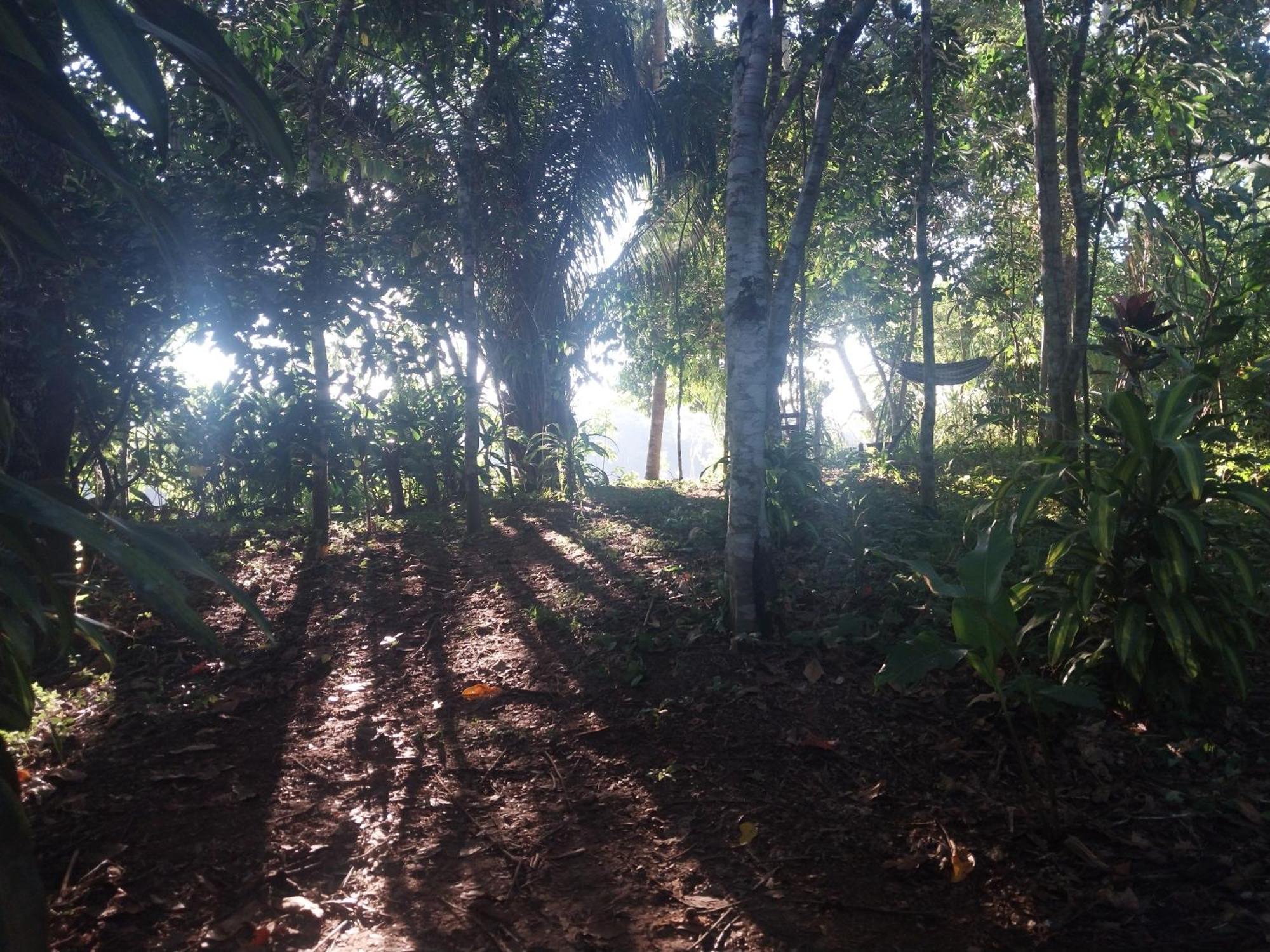 Jardin De Las Musas Puerto Maldonado Bagian luar foto