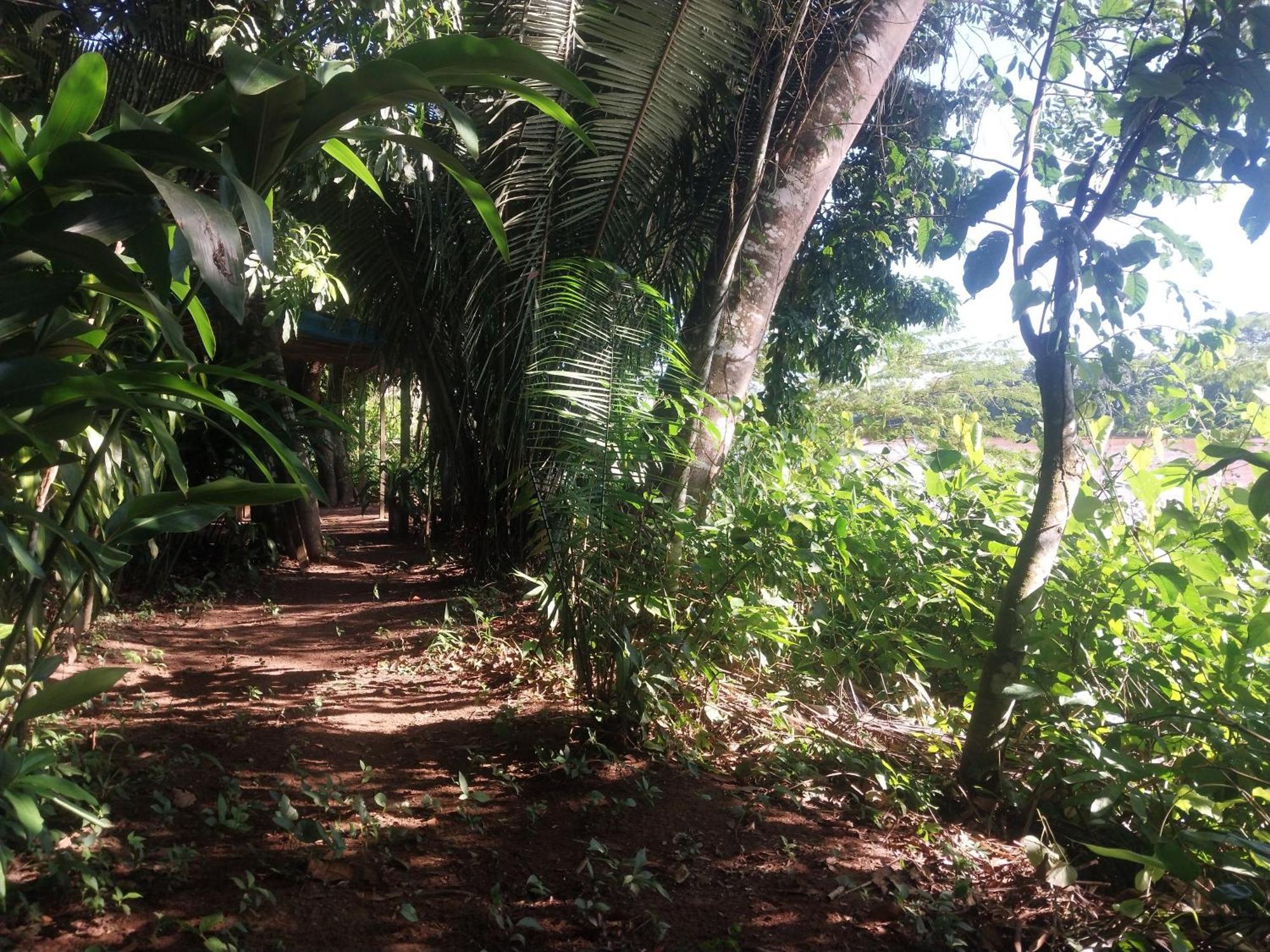 Jardin De Las Musas Puerto Maldonado Ruang foto